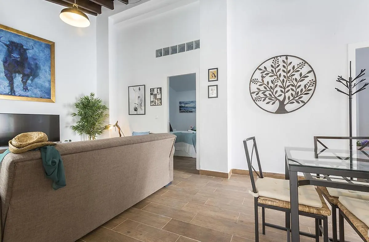 San Miguel Terraza Moderno Apartment Jerez de la Frontera 0*,  Spain